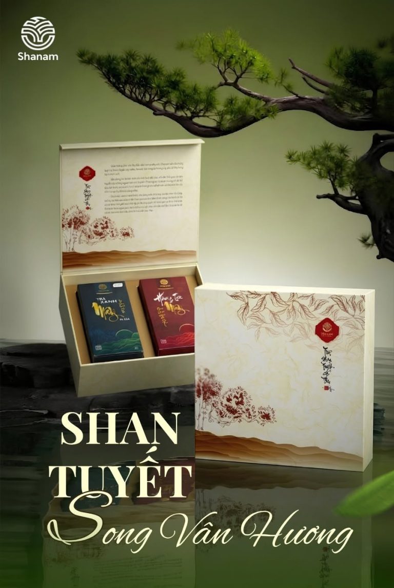 Hộp trà Shan Tuyết họa tiết núi rừng màu trắng kem